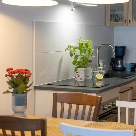 Honkenia Gardenia 20 M Do Plazy Z Widokiem Na Morze Epapartamenty Dziwnów