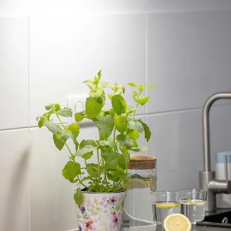 Lejlighed Honkenia Gardenia 20 M Do Plazy Z Widokiem Na Morze Epapartamenty