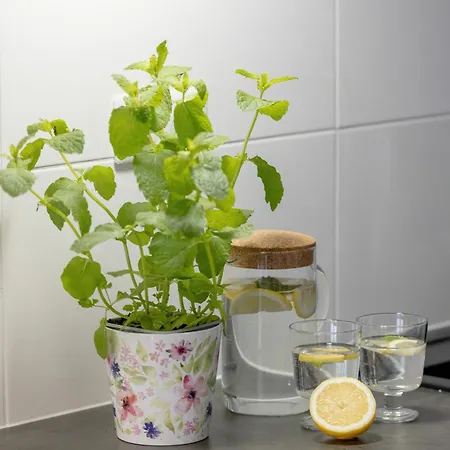 Lejlighed Honkenia Gardenia 20 M Do Plazy Z Widokiem Na Morze Epapartamenty